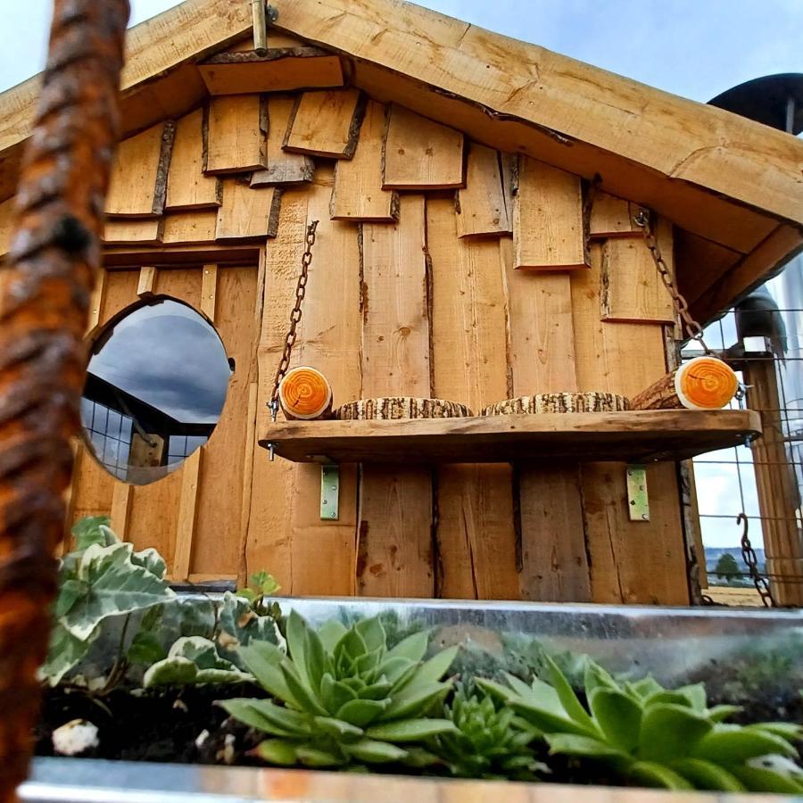 La Cabane Du Coing Vise Luaran gambar