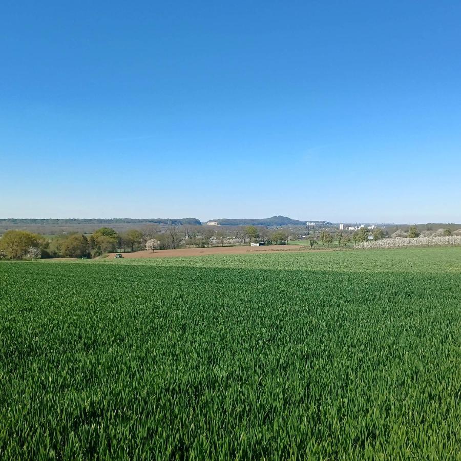 La Cabane Du Coing Vise Luaran gambar